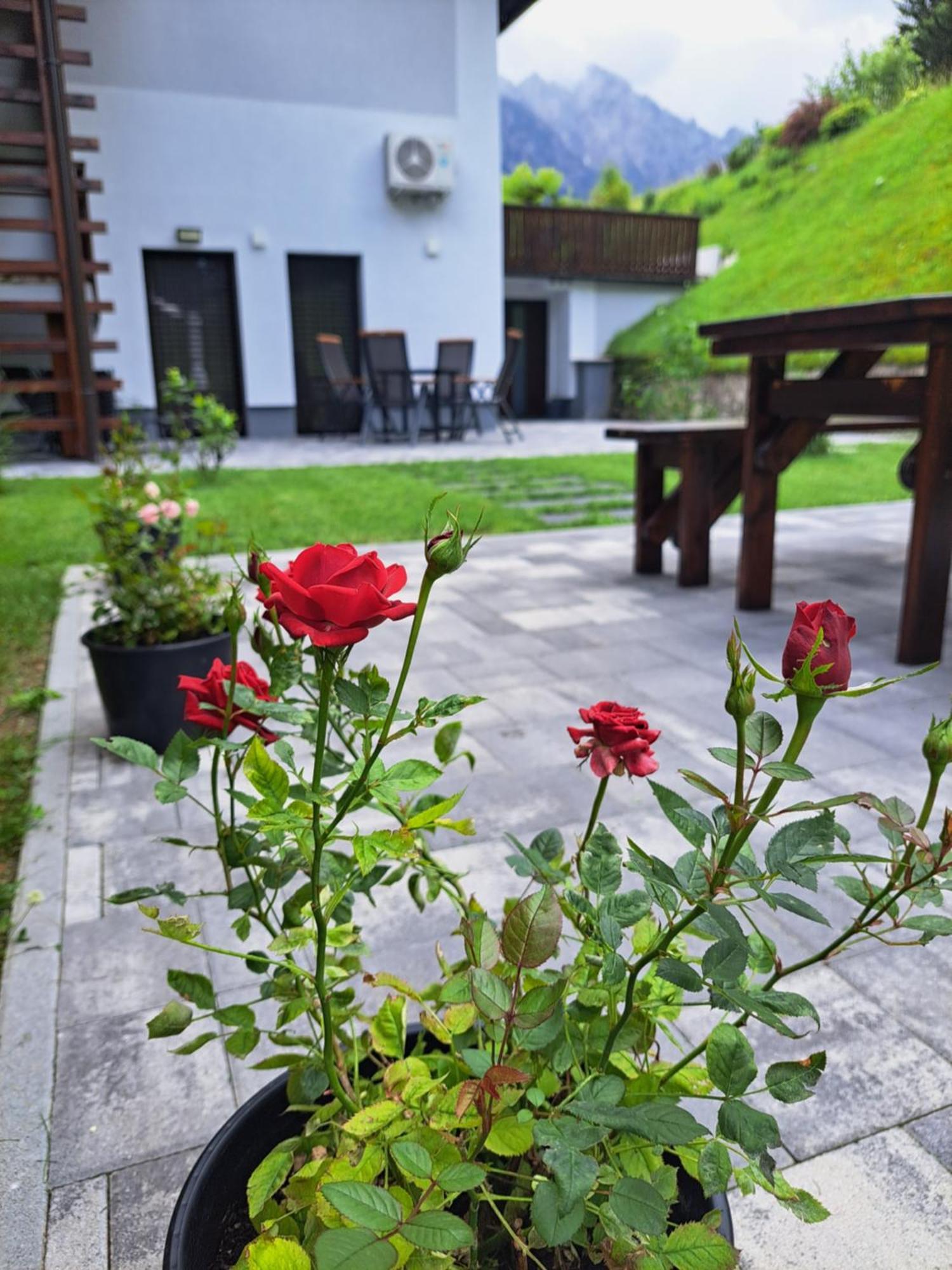Reset Apartments Kranjska Gora Exterior foto